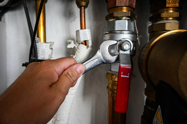 Best Local Plumber Services  in Osseo, WI